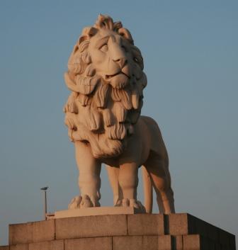 A White Lion.