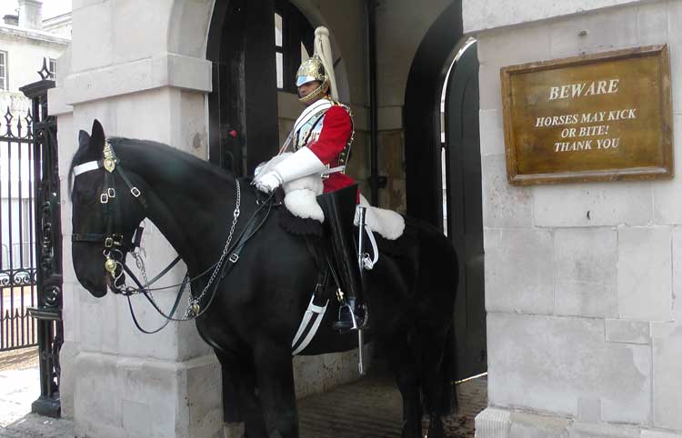 A soldier outside Horse Guards.